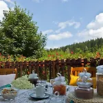 Hotel Gorski Czarna Gora