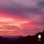 Gorski Czarna Gora