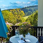 Gorski Czarna Gora Hotel Sienna (Klodzko)