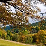 Gorski Czarna Gora Hotel 2*