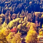 Hotel Gorski Czarna Gora 2*