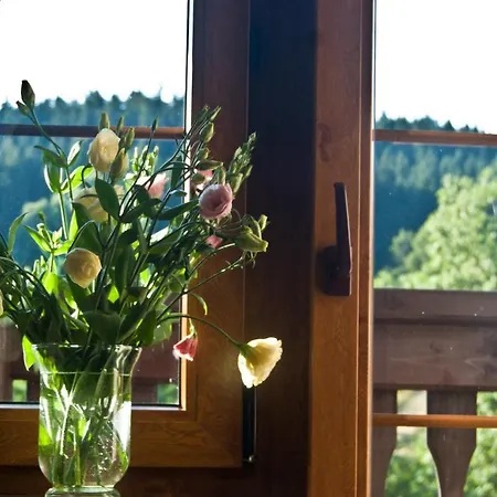 Gorski Czarna Gora 2*