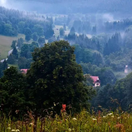 فندق Gorski Czarna Gora Stronie Śląskie