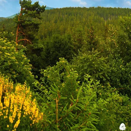 Gorski Czarna Gora 2*