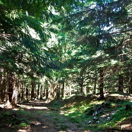 فندق Gorski Czarna Gora