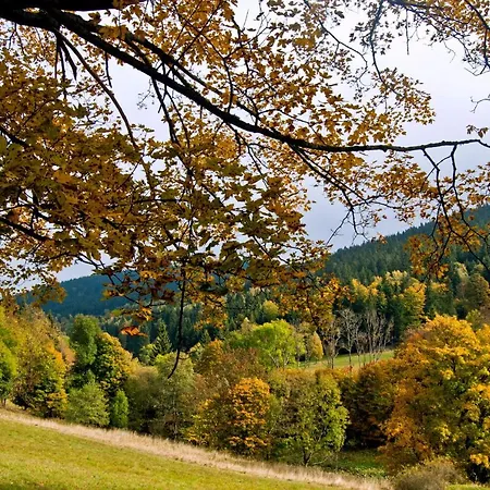 Gorski Czarna Gora Hotel 2*