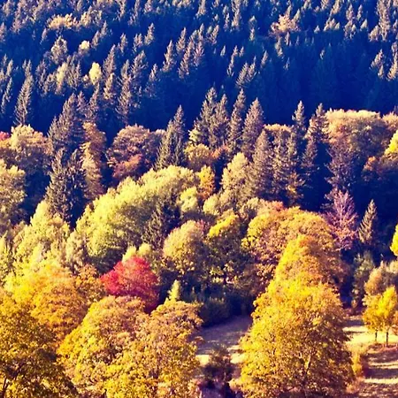 Hotel Gorski Czarna Gora 2*