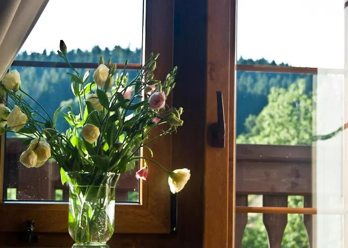 Gorski Czarna Gora 2*