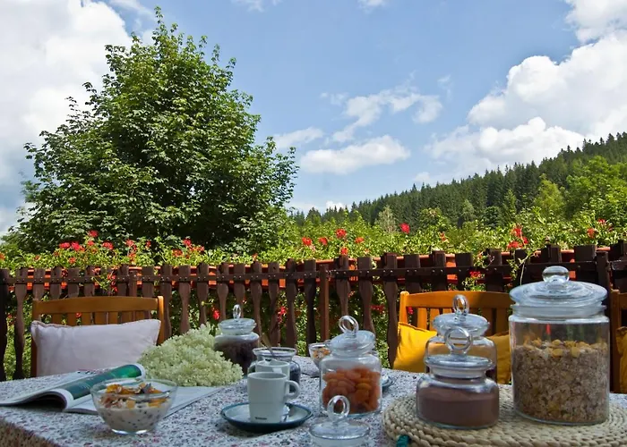 Hotel Gorski Czarna Gora