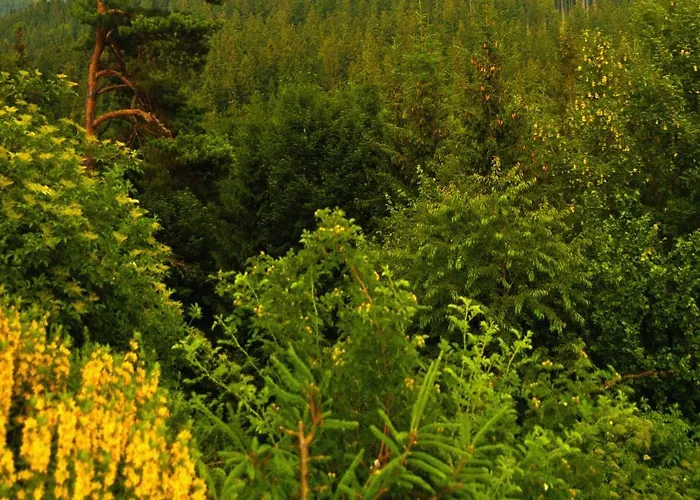 Gorski Czarna Gora 2*