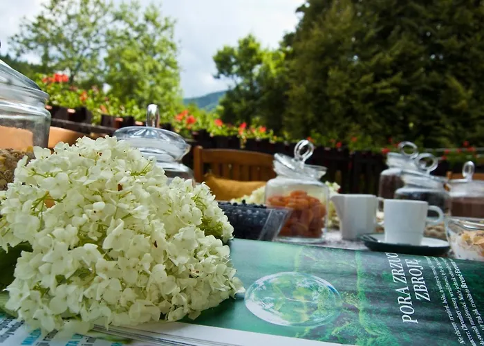 Gorski Czarna Gora 2*