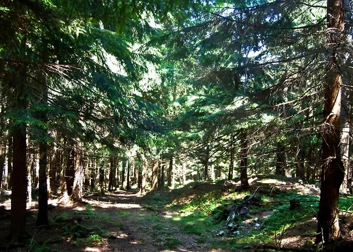 Hotel Gorski Czarna Gora