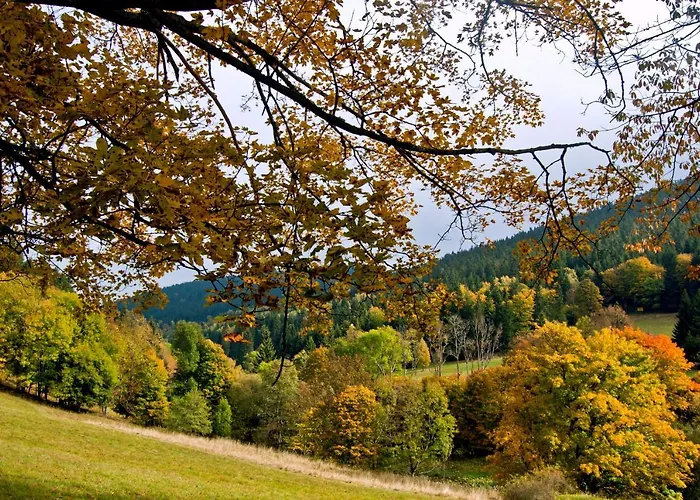 Gorski Czarna Gora Hotel 2*