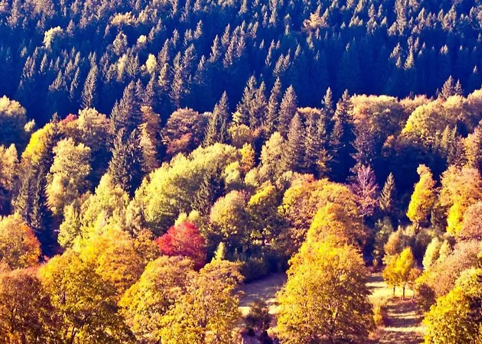 Hotel Gorski Czarna Gora 2*